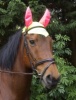 ''Combi Brite'' Fly Mask with ears